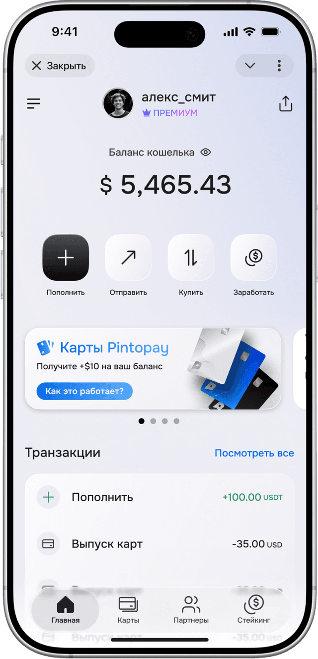 Pintopay App